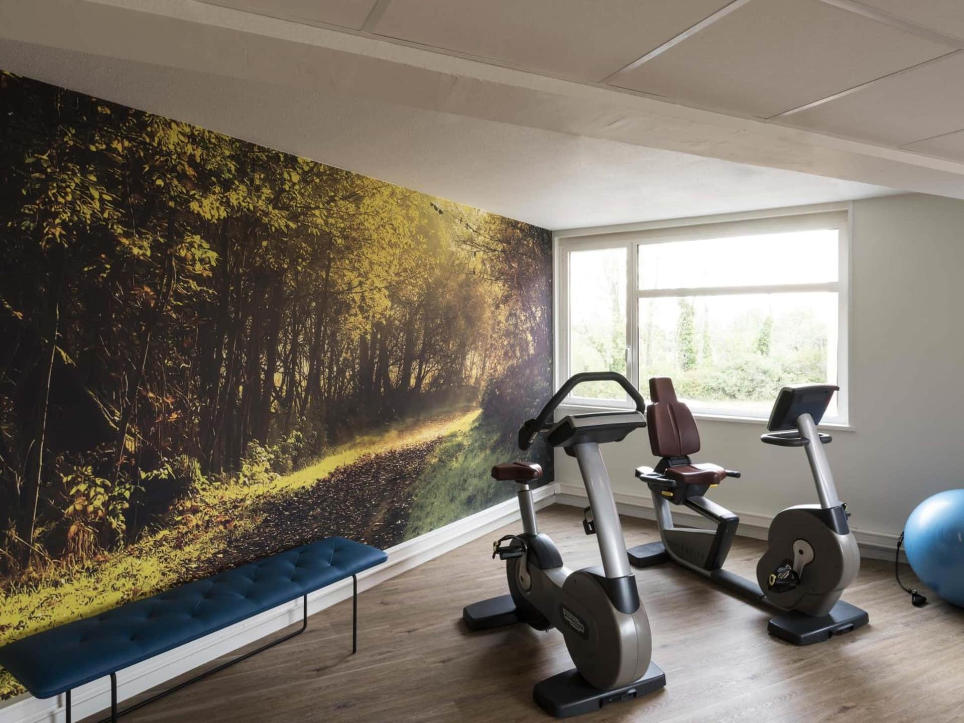 ibis Styles Lyon Bron Eurexpo