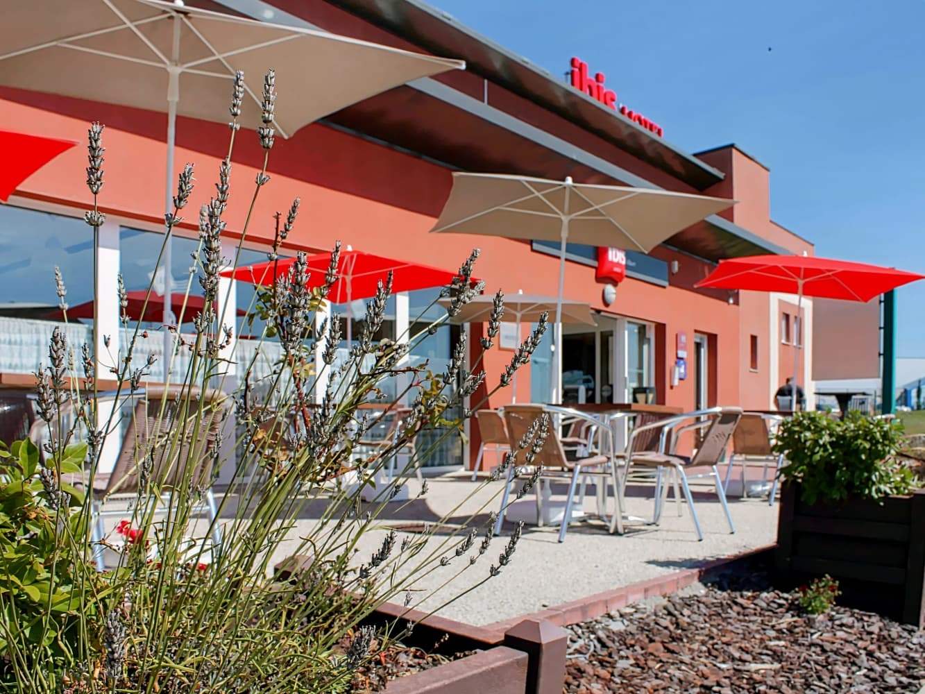 ibis albert pays de somme