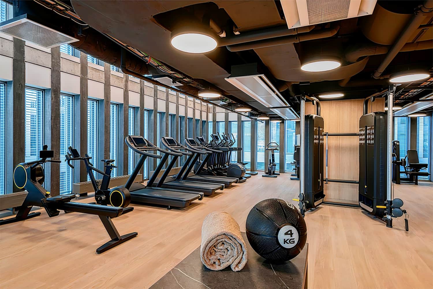 Hyatt Regency Zurich Airport The Circle