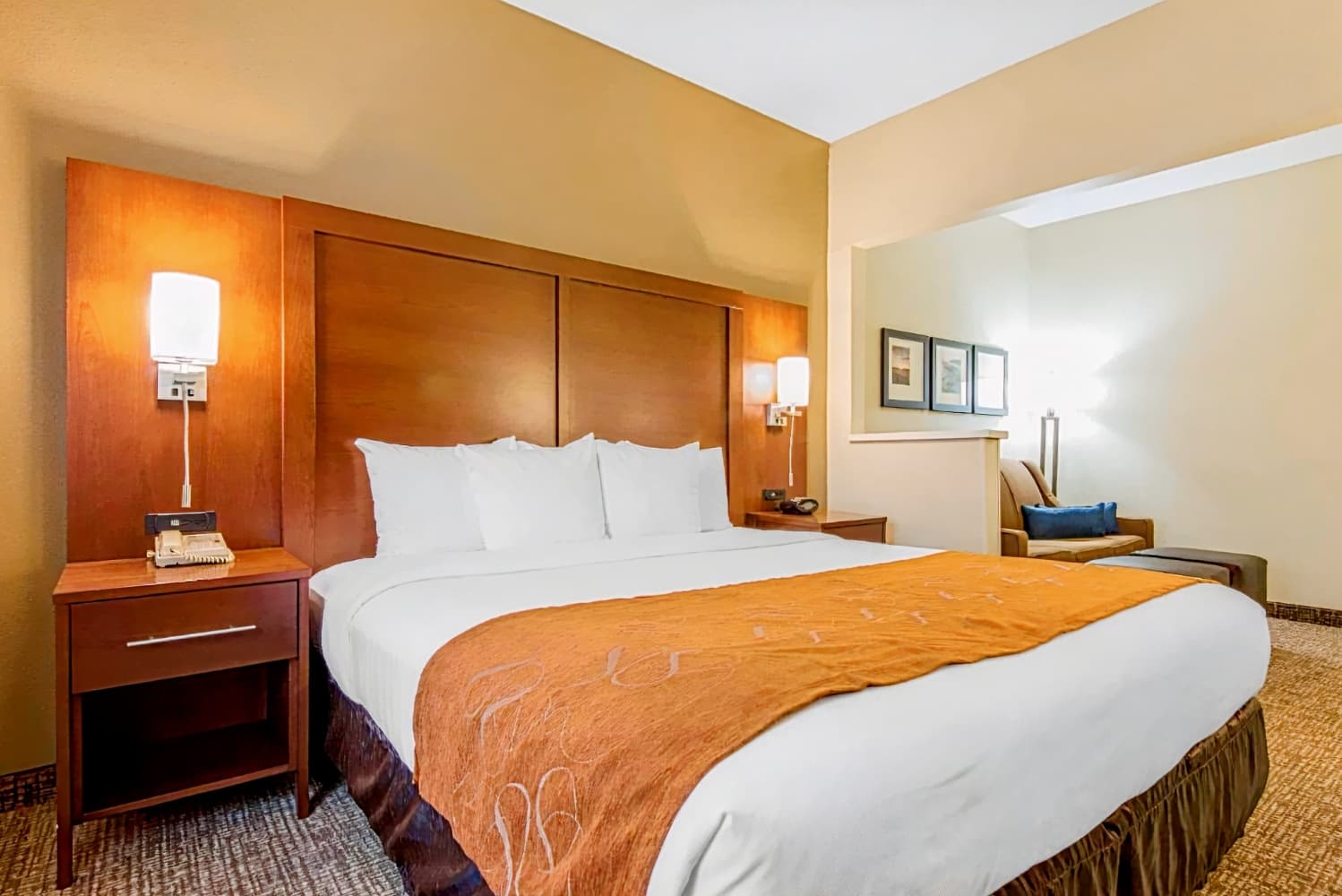 Comfort Suites Rochester Henrietta University Area