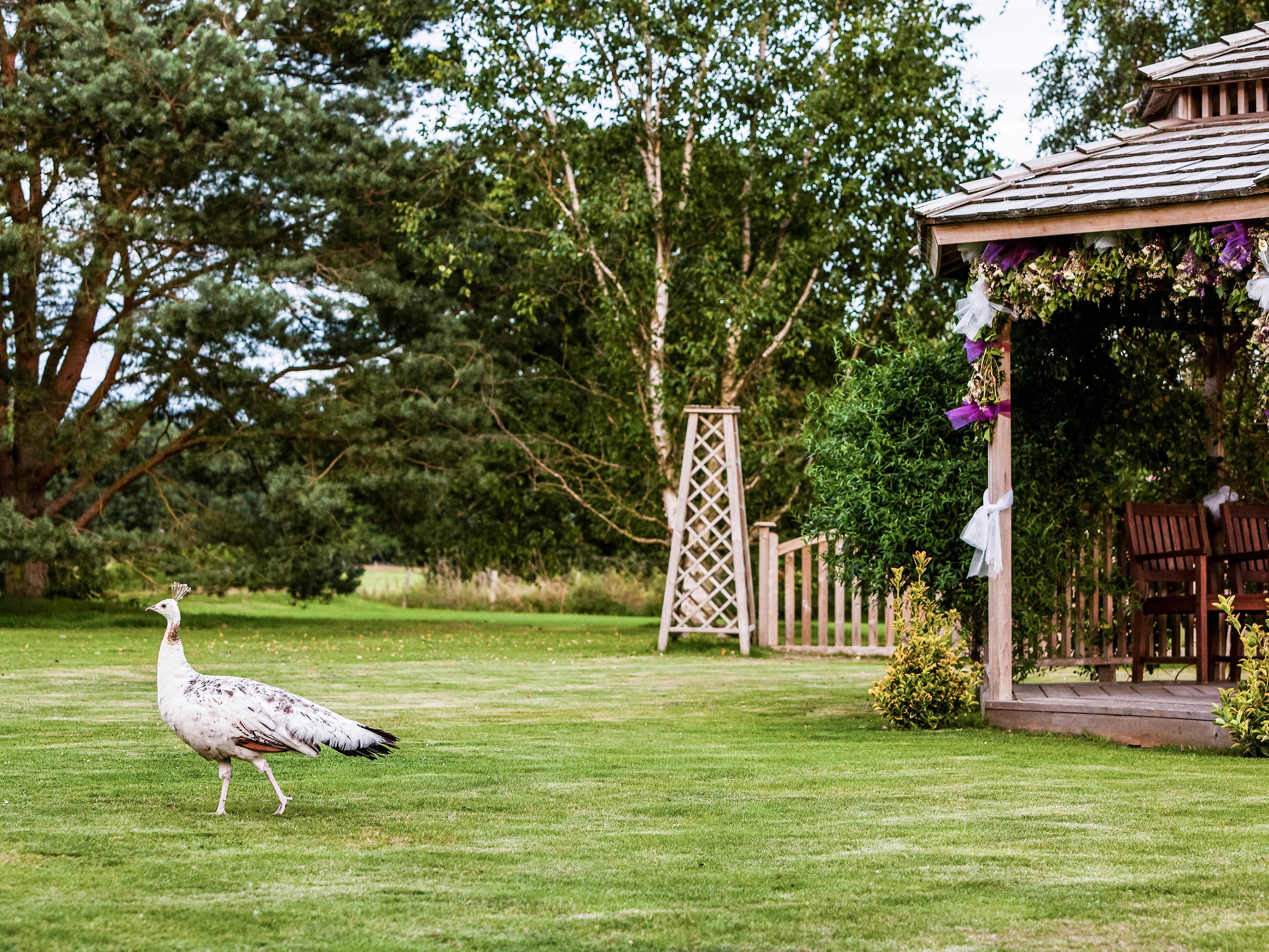 Mercure Maidstone Great Danes Hotel