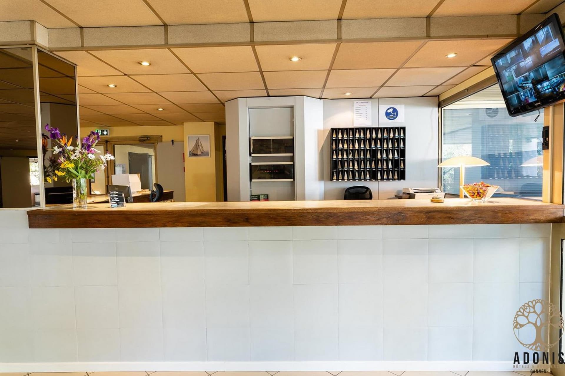 Adonis Cannes | Hôtel Thomas