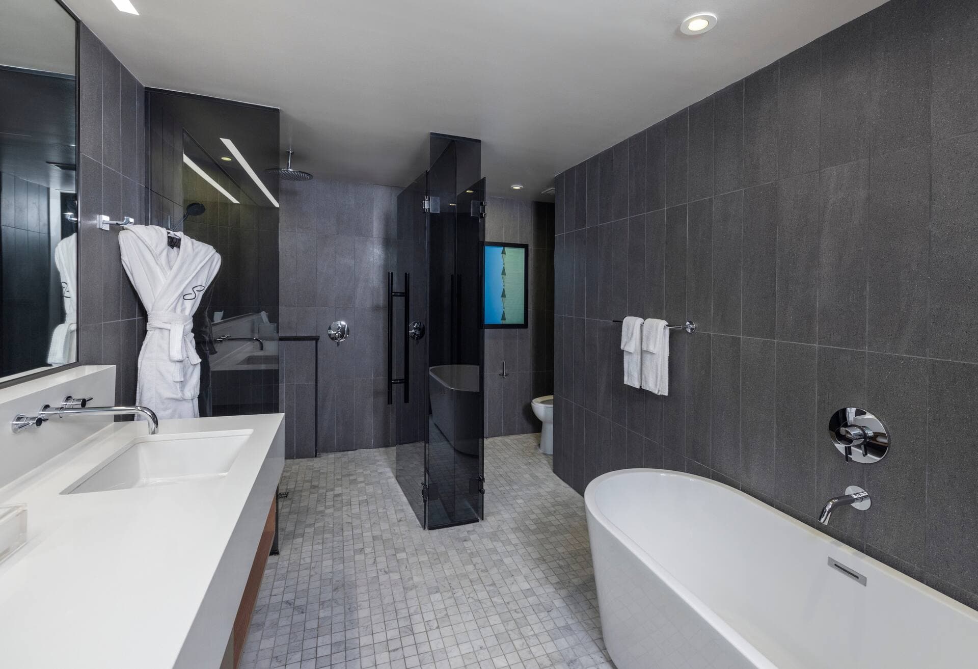 The Statler Dallas, Curio Collection By Hilton