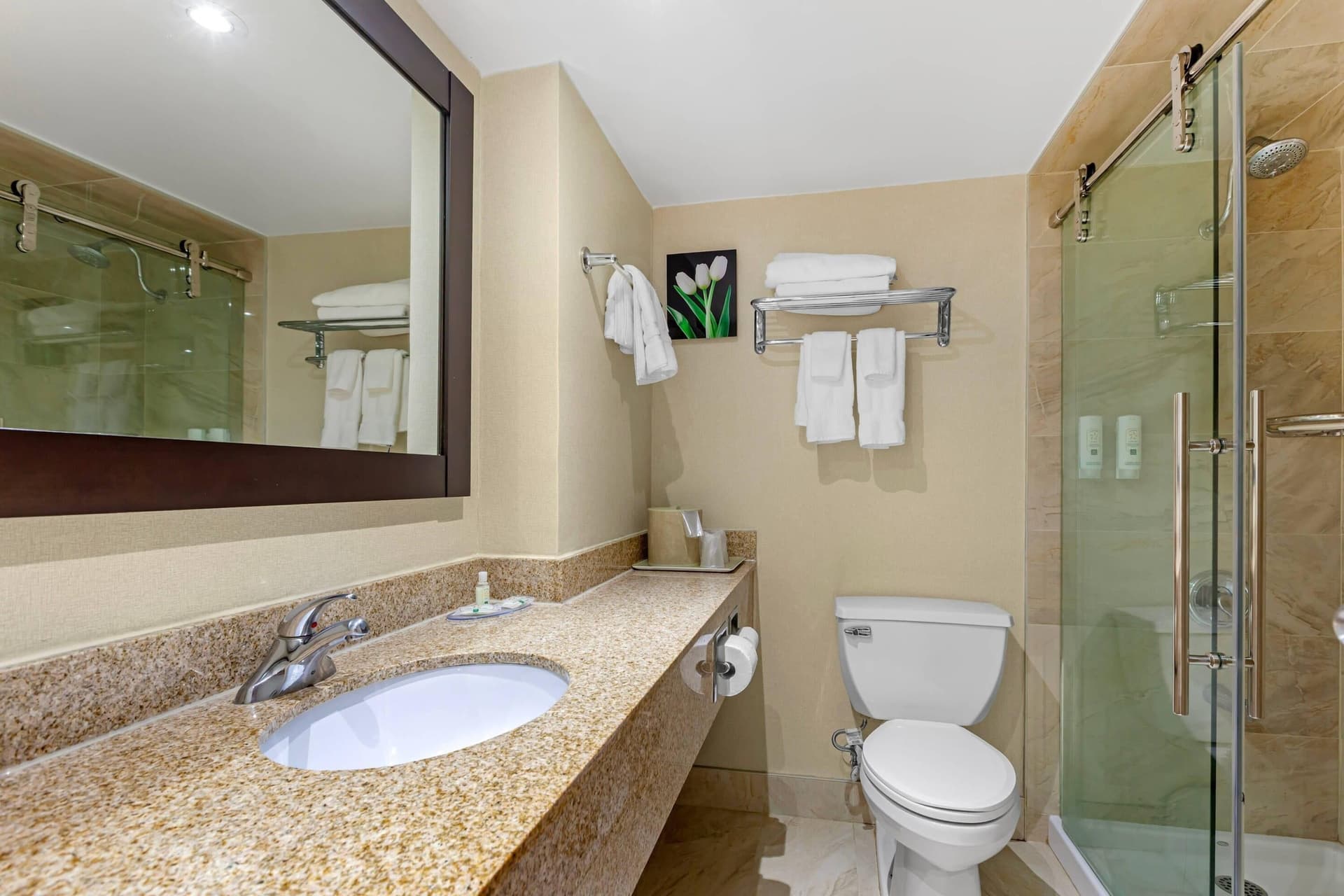 Quality Inn & suites Brampton