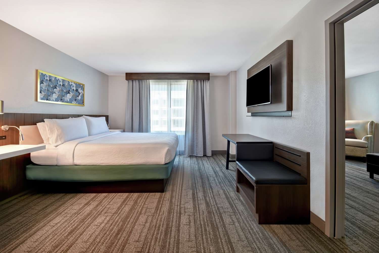 Hilton Garden Inn Houston/Galleria Area