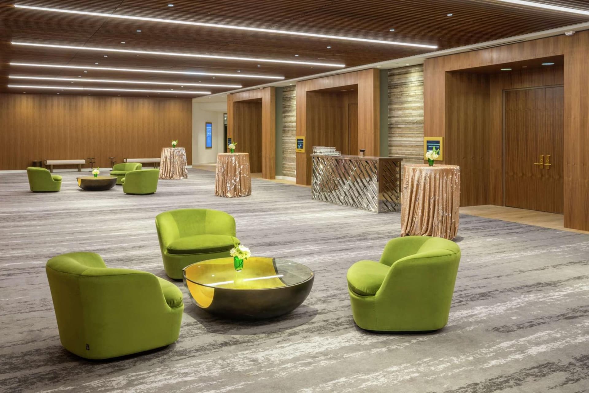 C. Baldwin, Curio Collection by Hilton